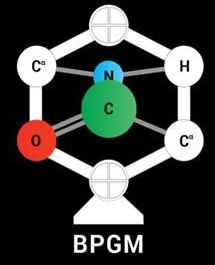 Belgian Peptide Group Meeting 2014